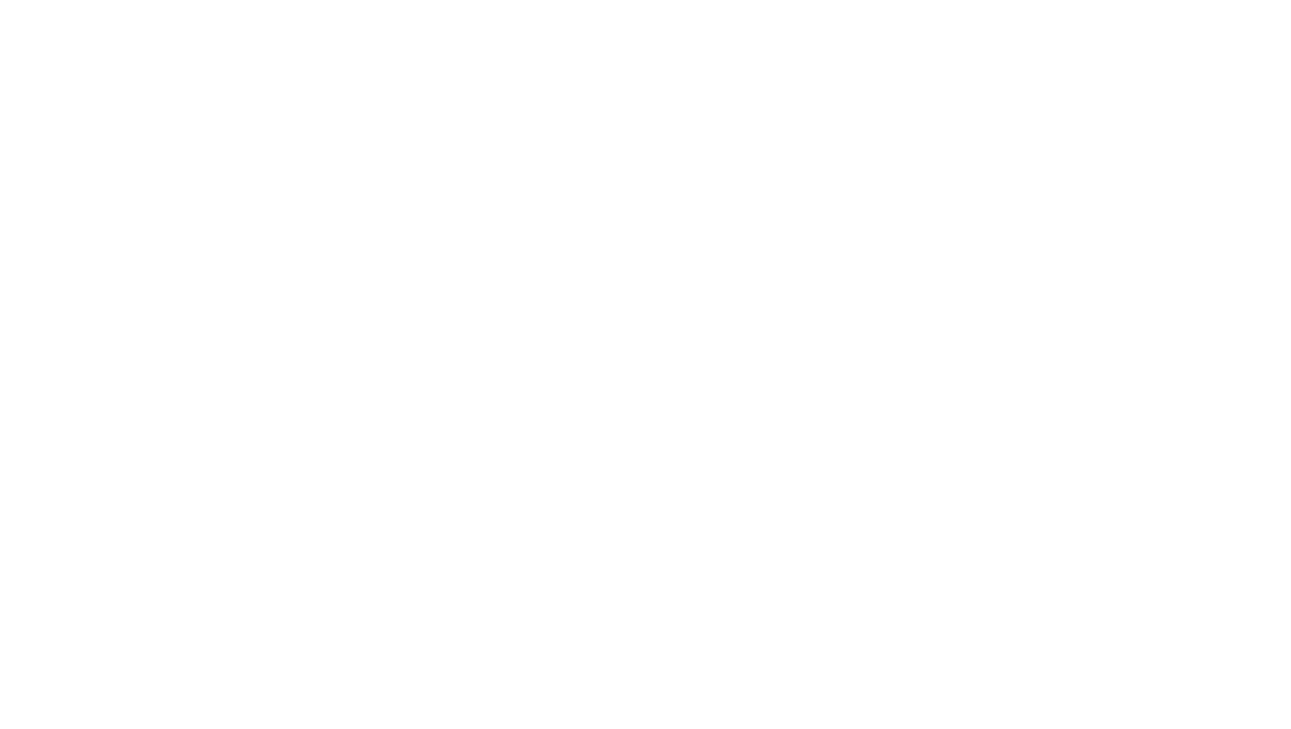 Hundefotog